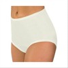 Carole Women's 100% Nylon Classic Full Cut Fit High Rise Panties -3 Pack - 4 of 4