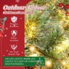 Karl Home 2 Pack 24inch Pre-lit Christmas Wreath with Red Berries Pine Cones - 2 of 4
