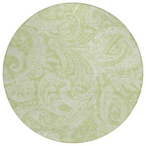 Green And Ivory Paisley Washable Indoor Outdoor Area Rug - 1 of 4