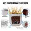 KTMBDW 14.4 Inch Ceramic Planter Pot - Flower Pot with Drainage Holes for Indoor Succulent Plants or Flowers - 3 of 4
