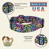 Country Brook Petz HossFit Jr Wide Premium  Dog Collar - Animal Print Collection - 4 of 4