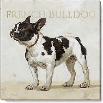 Sullivans Darren Gygi French Bulldog Canvas, Museum Quality Giclee Print, Gallery Wrapped, Handcrafted in USA