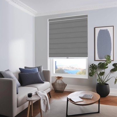 Gray Cordless Light Filtering Zebra Roller Shade 20" x 72"