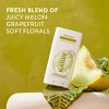 Native Passport Limited Edition Global Flavors Deodorant - Honey Melon - 2.65oz - 2 of 4