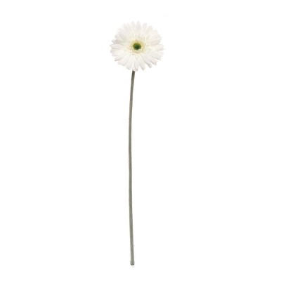 Floral Home 25" White Gerbera - 24-Piece