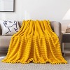 Itopfox Fleece Blanket Throw - Yellow Soft, Plush, Fluffy, Fuzzy, Warm, Cozy Perfect for Couch, Bed, Sofa with Pompom Fringe Flannel - 2 of 4