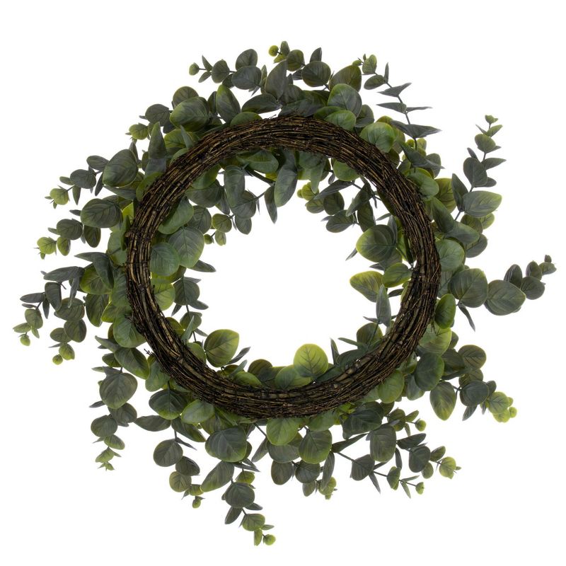 Vickerman 24" Artificial Green Spiral Eucalyptus Wreath, 5 of 6