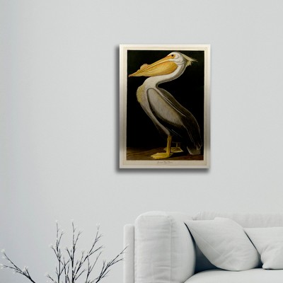 American White Pelican Brushed Aluminum Floating Wall Art