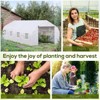 NicBex 20'x10'x7' Walk-in Tunnel Greenhouse with Roll-up Windows and Zippered Door, PE Cover for Growing Flowers, Herbs, Vegetables, Saplings, White - 4 of 4