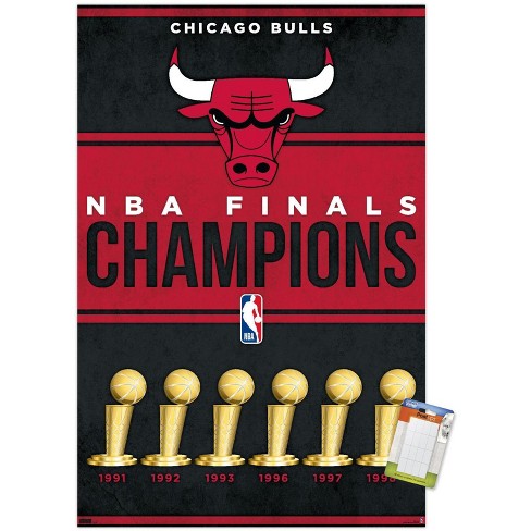 Chicago Bulls 6-Time NBA Champions Official NBA Premium Felt Collector –  Sports Poster Warehouse