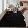 Plush Fuzzy Rugs Ultra Soft Fluffy Furry Rugs Non Slip Non Shedding Area Rug Indoor Carpet Nursery Rugs for Kids Room Bedroom Home Decor - 3 of 4