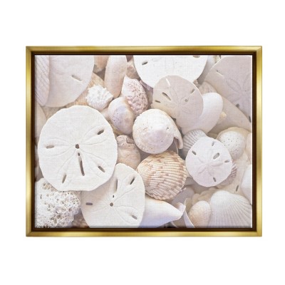 Stupell Industries White Mixed Sand Dollar Shells Framed Floater Canvas Wall Art
