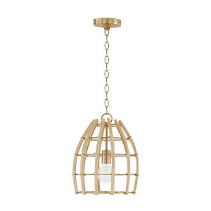 Capital Lighting Wren 1 - Light Pendant in  Matte Brass - 1 of 4