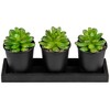 Northlight Set of 3 Mini Artificial Potted Succulents with Wood Planter 5" - image 2 of 4