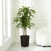5-6ft UV & Sunproof Artificial Dracaena Tree for Indoor/Outdoor - Faux Silk Plant in Tall Planter, Tall Faux Tree for Home & Garden Decor - 2 of 4