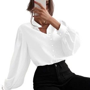 Coolmee Women's Business Casual Tops Summer Long Sleeve Button Down Shirts V Neck Chiffon Blouses - 1 of 4