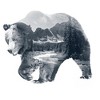 Men's Lost Gods Black and White Photo Real Bear Scene T-Shirt - 2 of 3