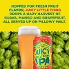 Sierra Nevada Juicy Little Thing IPA Beer - 6pk/12 fl oz Cans - 2 of 4