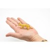 Collectible Wildlife Gifts | Numbat, Walpurti,  Plastic, Animal,  Model,  Educational, Animal,  Gift, Toy    3"     CWG116 B237 - 3 of 4