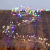Kurt Adler 300-Light Cluster Garland with RGB LED Lights - 4 of 4