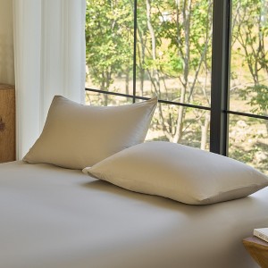 DOZ Bamboo Viscose Pillowcase Set, Organically Grown Bamboo, Buttery Soft, Cooling, High GSM - 1 of 4