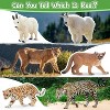 14-Piece Mini North American Forest Animal Figurines, Realistic Elk, Pronghorn and Fox Toys - 4 of 4