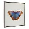 Kate and Laurel Sylvie Coppertop Butterfly Framed Canvas by Robert Cadloff of Bomobob, 22x22, Gray - 2 of 4
