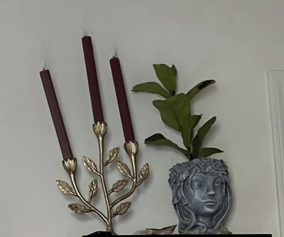 Guest review image 1 of 1, zoom in