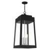 Livex Lighting Oslo 4 - Light Pendant in  Black - 4 of 4