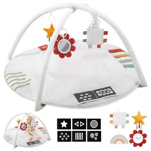 Baby Play Gym & Tummy Time Mat - Soft Cotton Mat with 6 Toys for Boys/Girls - Stylish Activity Playmat for Infant Development & Playroom Decor - 1 of 4