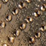 rose gold rhinestones