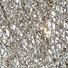 48" Prelit LED Reindeer White Lights - National Tree Company - 4 of 4