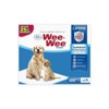 Four Paws Wee Wee Pads Original-100 Pack (22" Long x 23" Wide) - 2 of 3