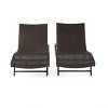 2 PCS Patio Lounge Chair Chaise Recliner Weather Resistant without Cushion-Christopher Knight Home - 2 of 4
