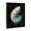 Stupell Industries Dark Nautilus Shell, 25" x 31" - 3 of 4