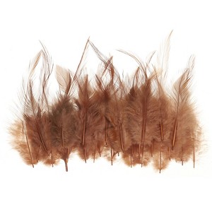 Unique Bargains DIY Dream Catcher Earrings Saddle Hackle Rooster Feathers 50 Pcs - 1 of 4