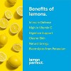 Lemon Perfect, Hydrating Organic Lemon Water, Original Lemon (12Oz Bottles) 12Pk Original Lemon 12 Fl Oz (Pack of 12) - 2 of 4