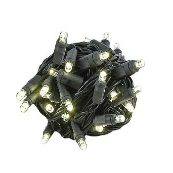 Novelty Lights 50 Light LED Christmas Mini Light Set (Black Wire, 25 Feet)
