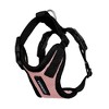 Step-in Lock Adjustable Cat Harness w. Cat Leash Combo Set with Neoprene Handle 5ft - Small, Medium and Large Breed Cats - 3 of 4