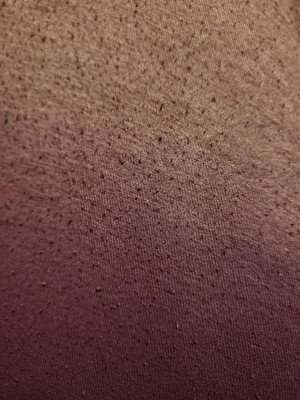 Guest review image 1 of 1, zoom in