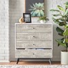 Crislana 4 Drawer Chest White/Weathered Gray - Buylateral: Space-Saving Vertical Storage for All Ages - 3 of 4