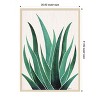 Amanti Art Desert Agave Cactus by Kristian Gallagher Wood Framed Wall Art Print - 3 of 4