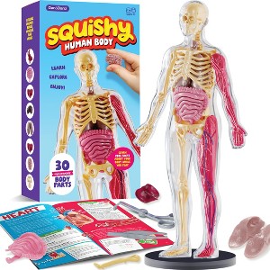 Dan&Darci Squishy Anatomy - Human Body Model - Science Kit for Kids - STEM toys - Birthday Gifts for Boys & Girls - Educational Toys - 1 of 4