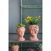 Okak Greek Style Cement Bust Wall Planter Classic Sculptural Flower Pot for Indoor / Outdoor Garden Decor,6 Different Sizes - 2 of 4