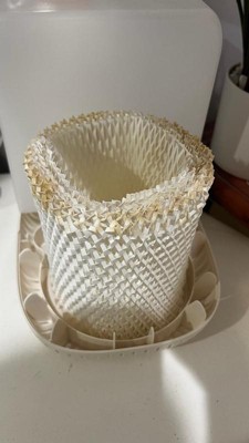 Guest review image 4 of 4, zoom in