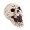 Seasons 6 in Decaying Skull Halloween Tabletop Decoration - Off-White - 2 of 2