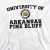 University of Arkansas at Pine Bluff Official Circle Logo Adult Pull-Over Hoodie - 2 of 4