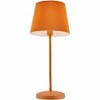 Hauteloom Pachiquita Table Lamp - 4 of 4