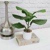 2ct Faux Fiddle Leaf Plant with White Pot - Bullseye's Playground™ - image 4 of 4