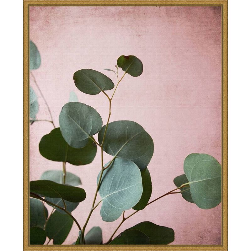 16&#34; x 20&#34; Sage Eucalyptus No.2 by Lupen Grainne Framed Canvas Wall Art - Amanti Art, 1 of 10